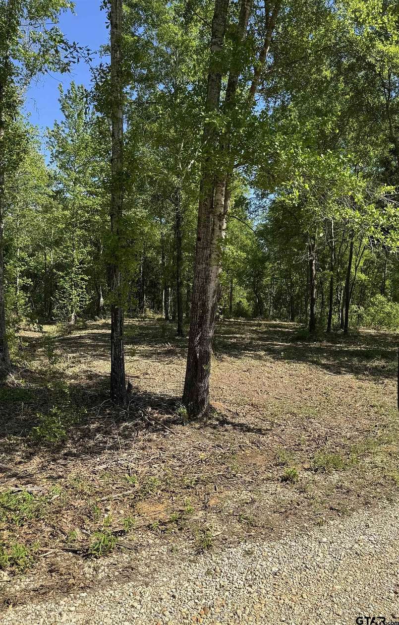 10 Acres of Land for Sale in Overton, Texas