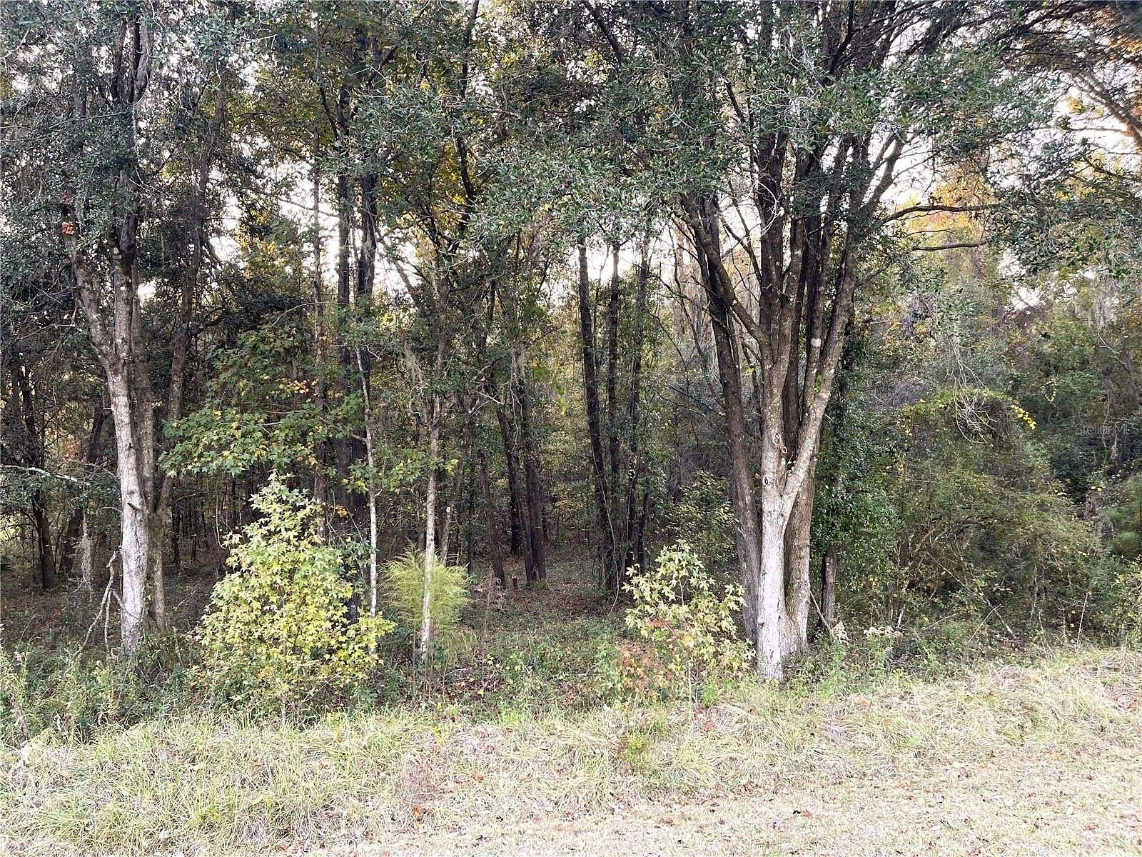 3.15 Acres of Residential Land for Sale in Williston, Florida