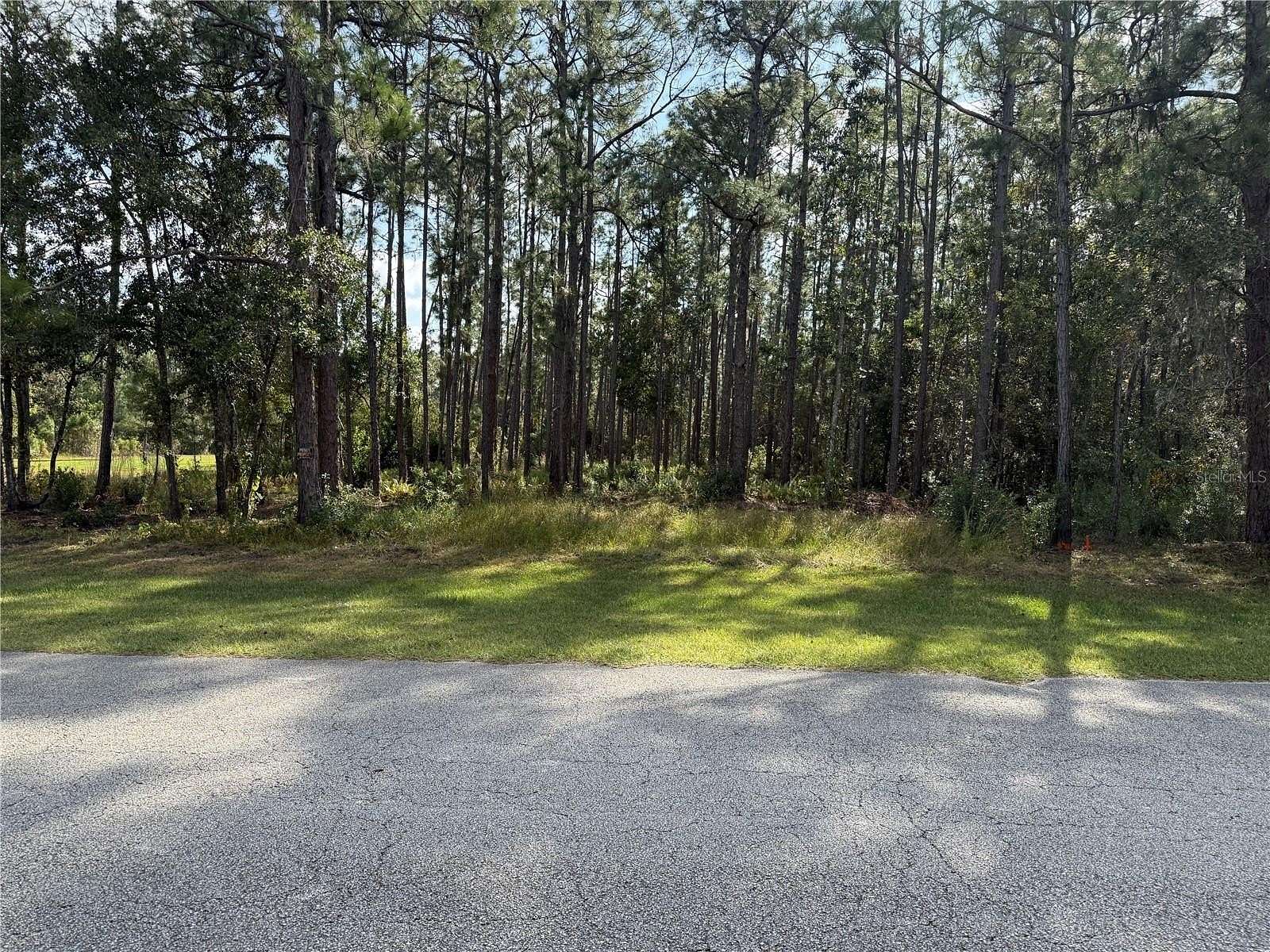 2 Acres of Residential Land for Sale in Frostproof, Florida