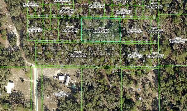 0.15 Acres of Residential Land for Sale in Weeki Wachee, Florida