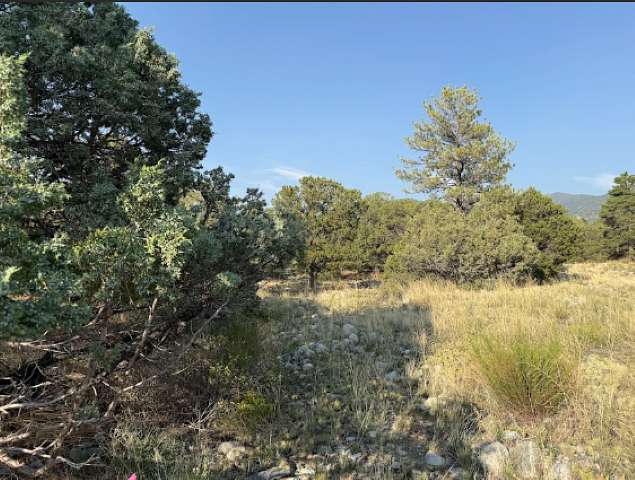1 Acre of Residential Land for Sale in Mosca, Colorado