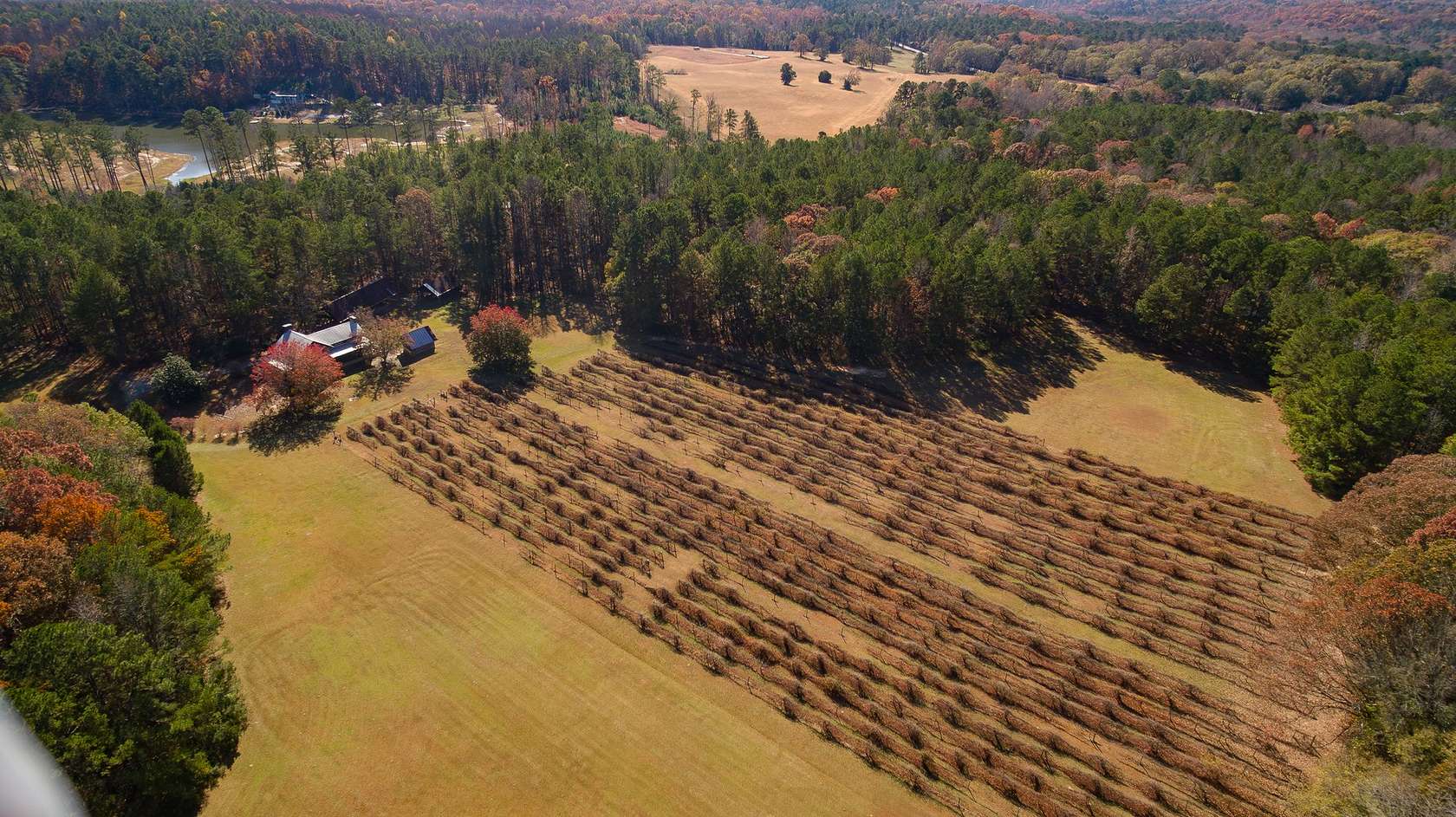 30.4 Acres of Land with Home for Sale in Newnan, Georgia