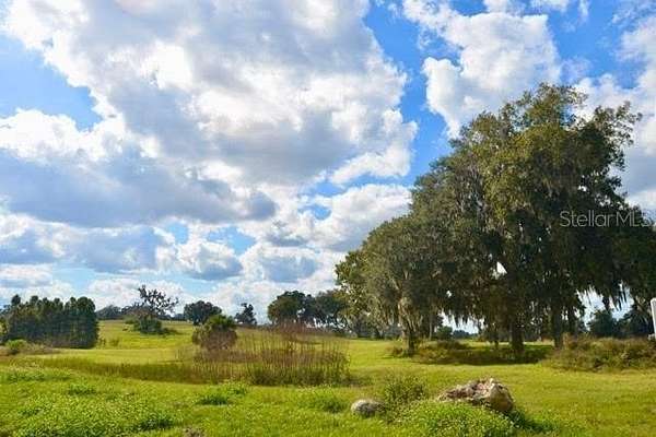 10 Acres of Agricultural Land for Sale in Ocala, Florida