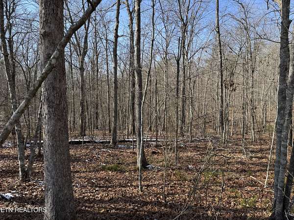 4.3 Acres of Residential Land for Sale in Monterey, Tennessee