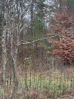 1 Acre of Residential Land for Sale in Cleveland, Tennessee