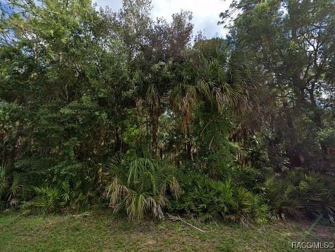 2 Acres of Residential Land for Sale in Inglis, Florida