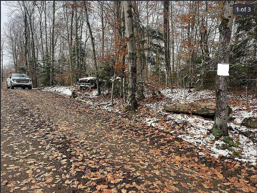 0.44 Acres of Residential Land for Sale in Old Forge, New York