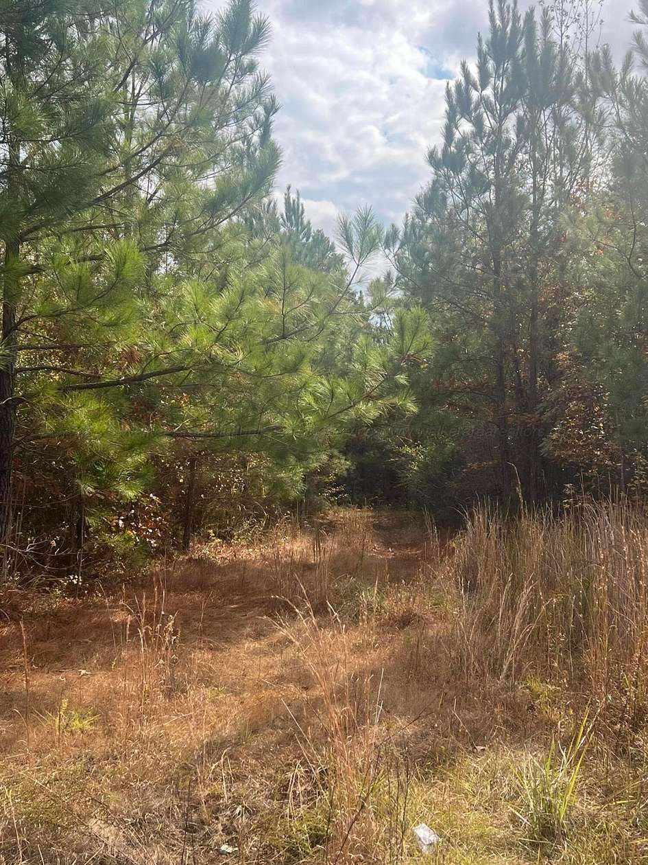 Land for Sale in Fayette, Alabama