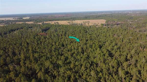 10.1 Acres of Land for Sale in Bunnell, Florida