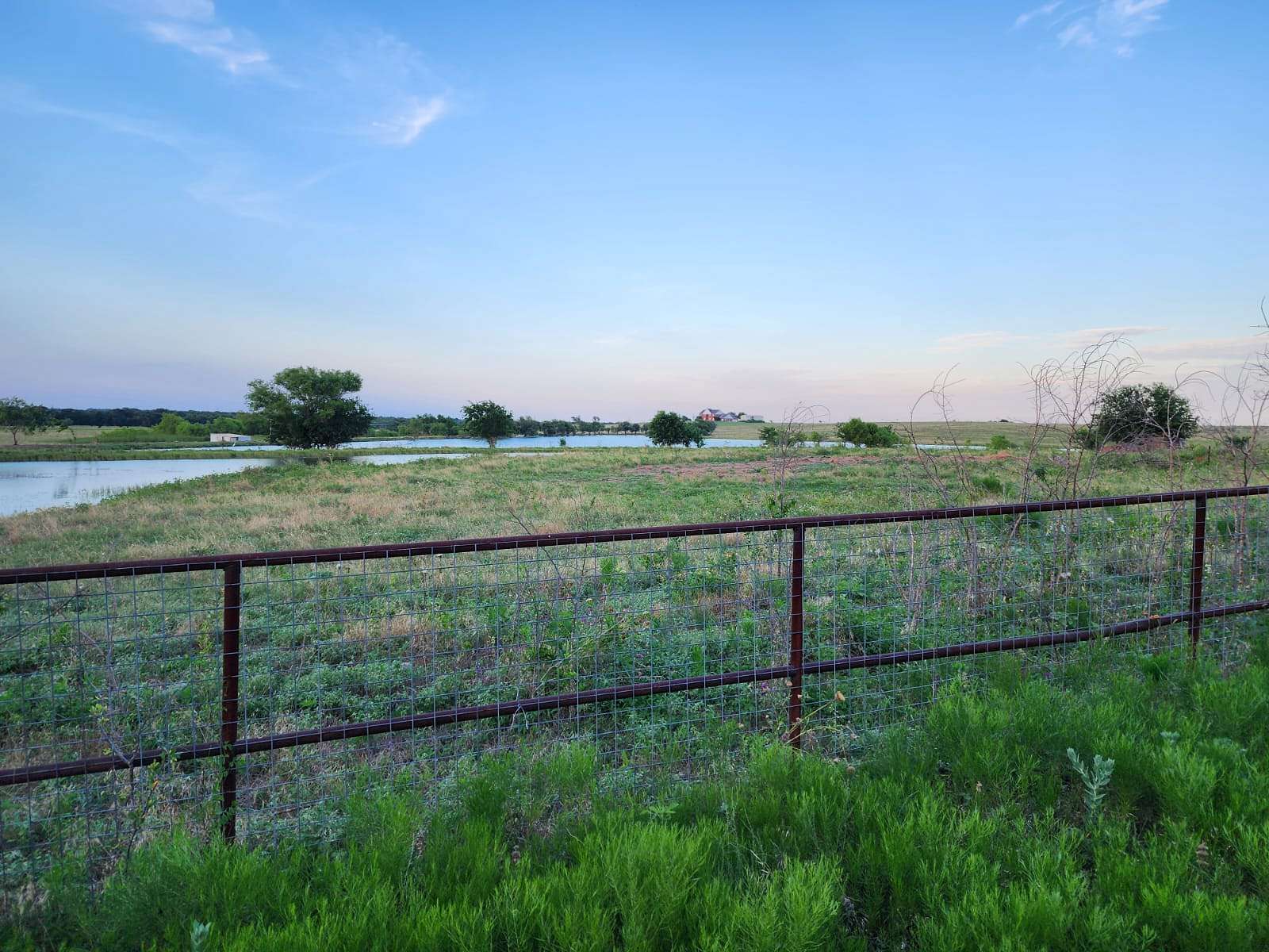 184 Acres of Improved Land for Sale in Italy, Texas