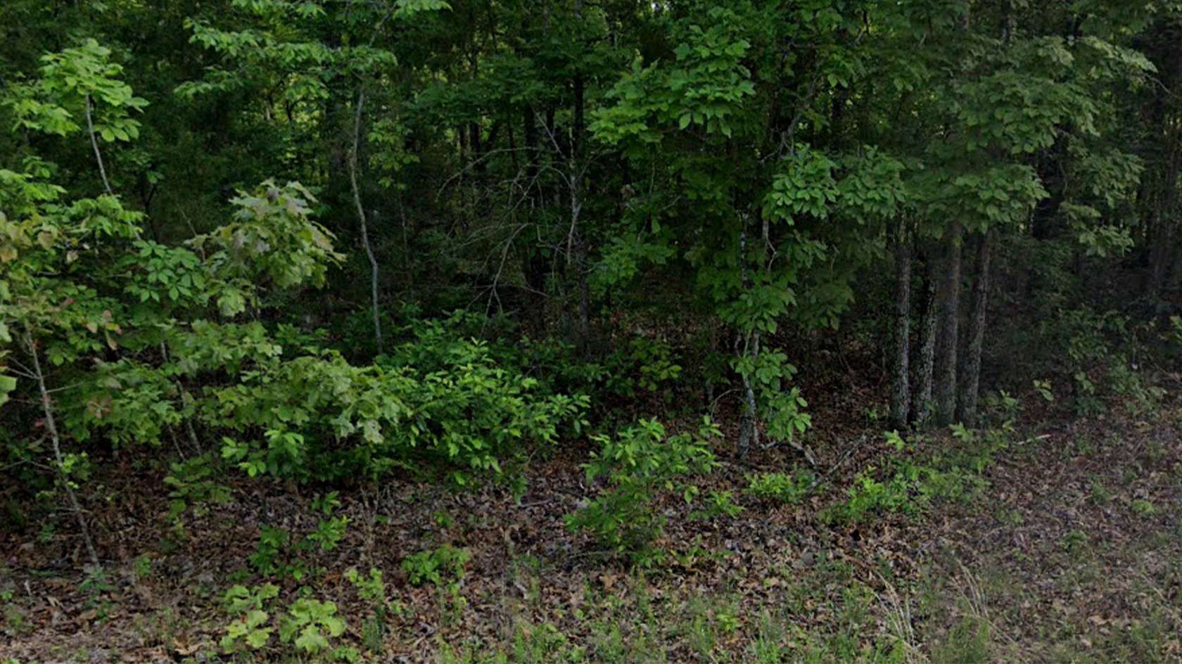 0.3 Acres of Residential Land for Sale in Horseshoe Bend, Arkansas