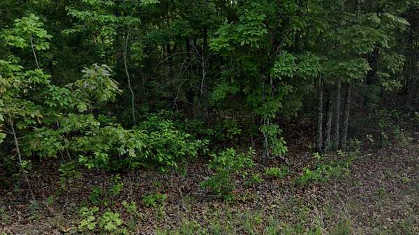 0.3 Acres of Residential Land for Sale in Horseshoe Bend, Arkansas