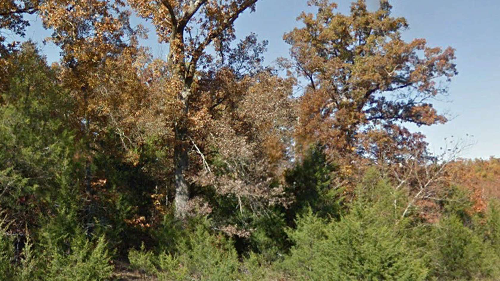 1.13 Acres of Residential Land for Sale in Horseshoe Bend, Arkansas