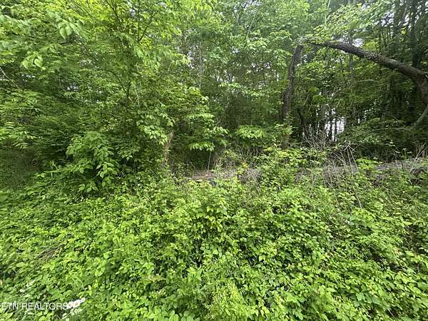 2 Acres of Residential Land for Sale in Jamestown, Tennessee