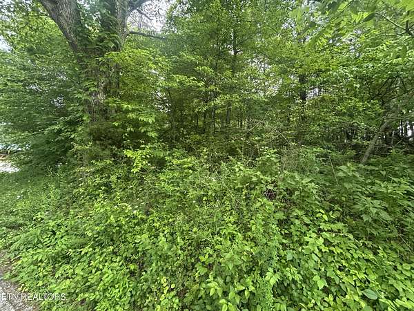 2 Acres of Residential Land for Sale in Jamestown, Tennessee