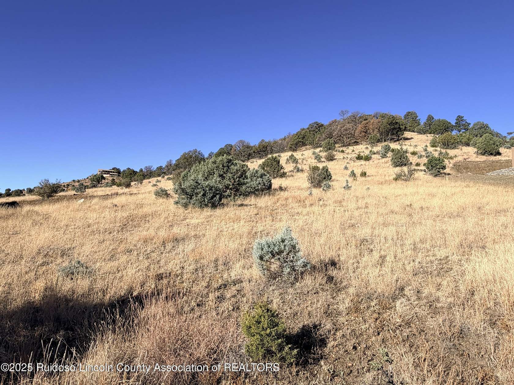 1 Acre of Residential Land for Sale in Alto, New Mexico