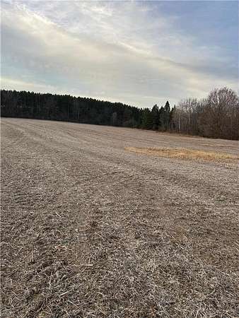 20 Acres of Land for Sale in Woodville, Wisconsin