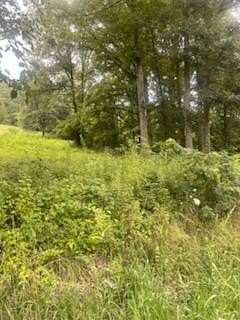 5.17 Acres of Residential Land for Sale in Union, Kentucky