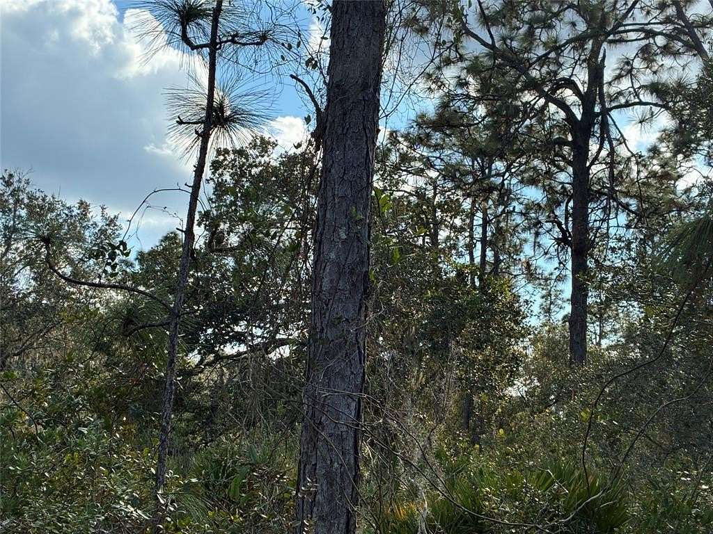 1 Acre of Residential Land for Sale in Indian Lake Estates, Florida