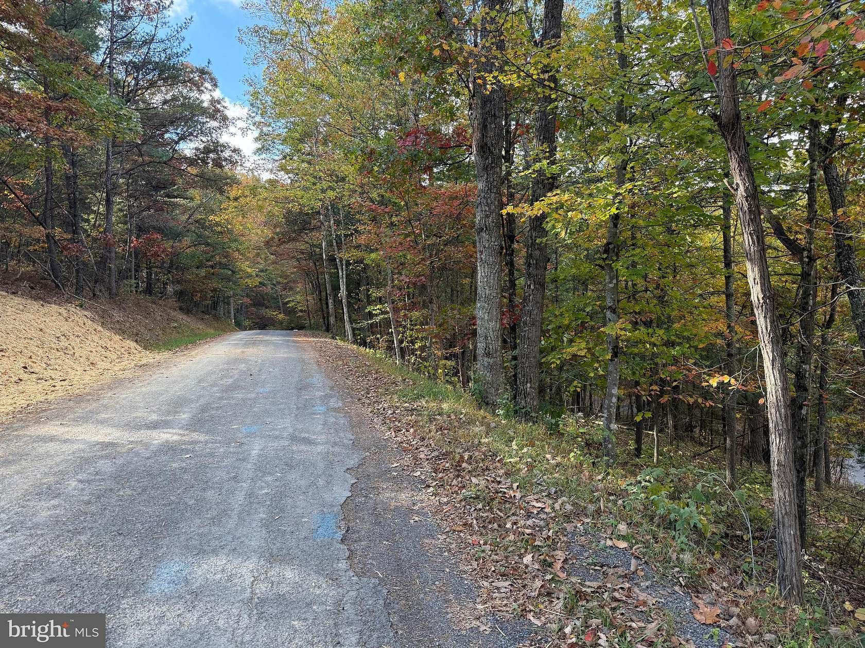 0.32 Acres of Residential Land for Sale in Mount Jackson, Virginia