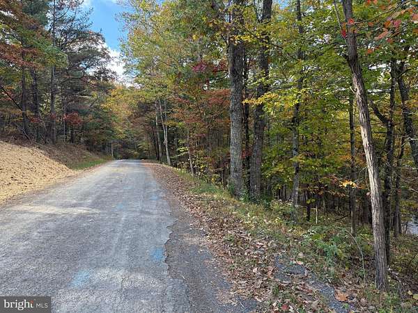 0.32 Acres of Residential Land for Sale in Mount Jackson, Virginia