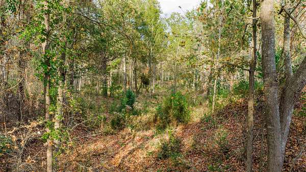6 Acres of Land for Sale in Longview, Texas