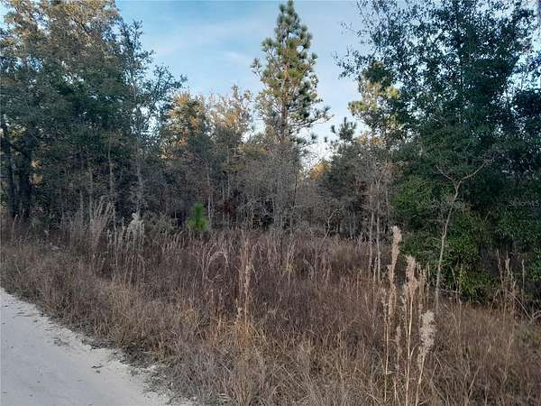 1 Acre of Residential Land for Sale in Williston, Florida
