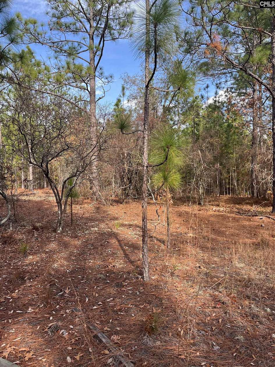 6.18 Acres of Residential Land for Sale in Gaston, South Carolina
