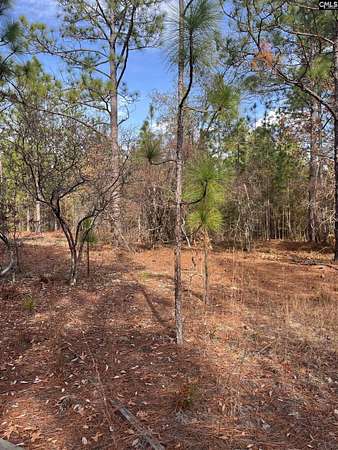 6.18 Acres of Residential Land for Sale in Gaston, South Carolina