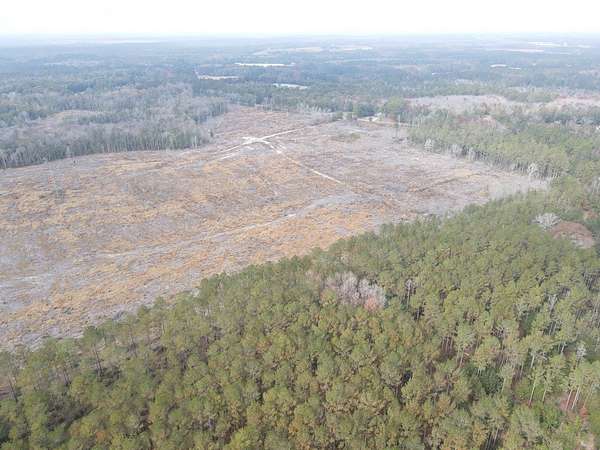 25.5 Acres of Land for Sale in Samson, Alabama