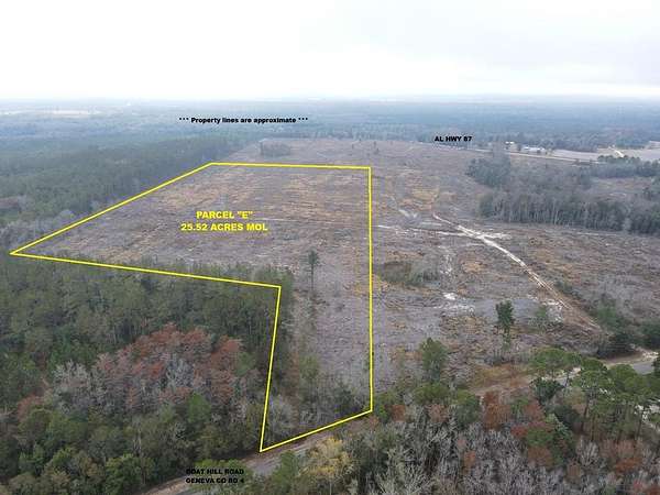 24 Acres of Land for Sale in Samson, Alabama