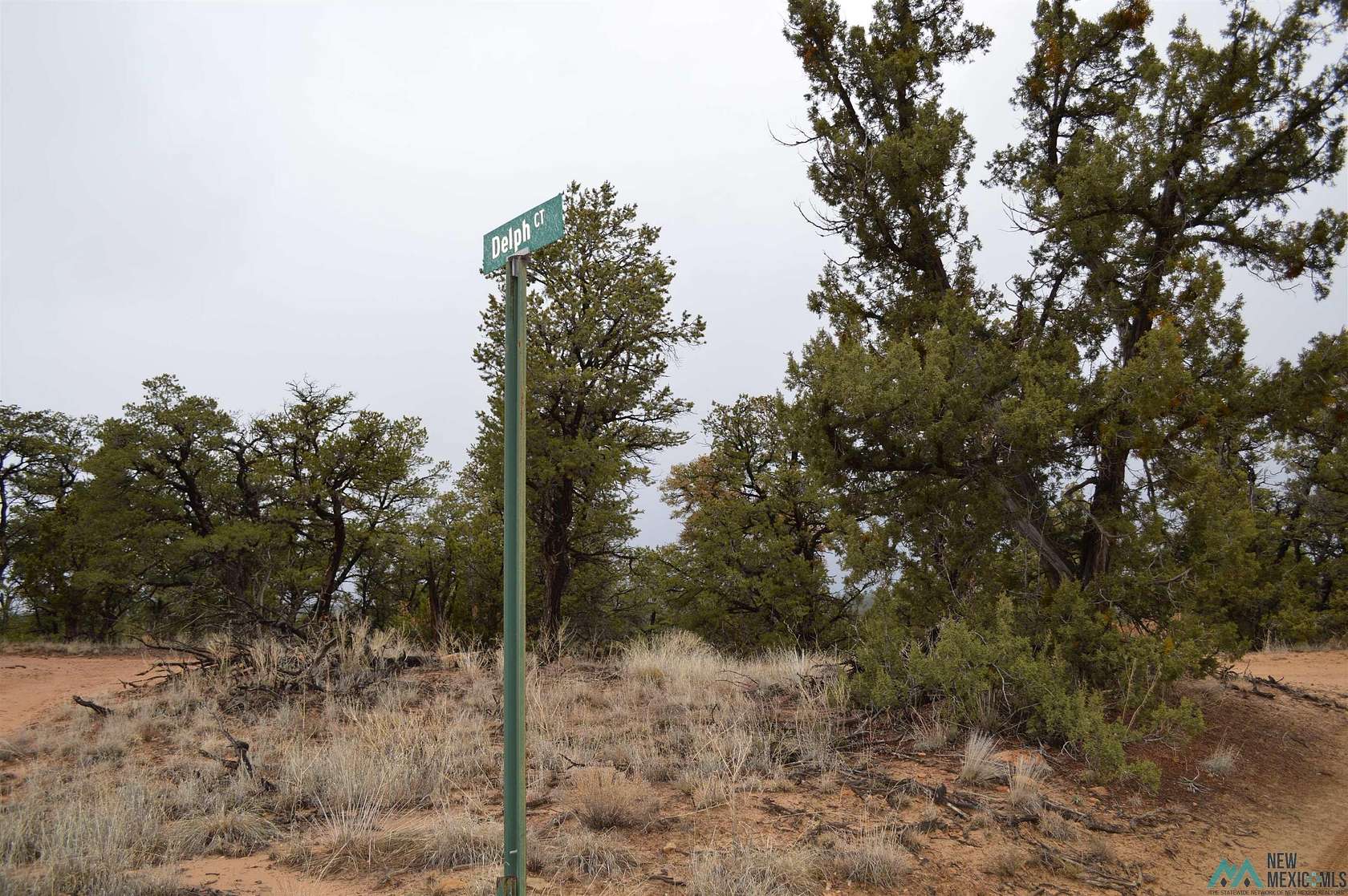2 Acres of Residential Land for Sale in Pinehill, New Mexico