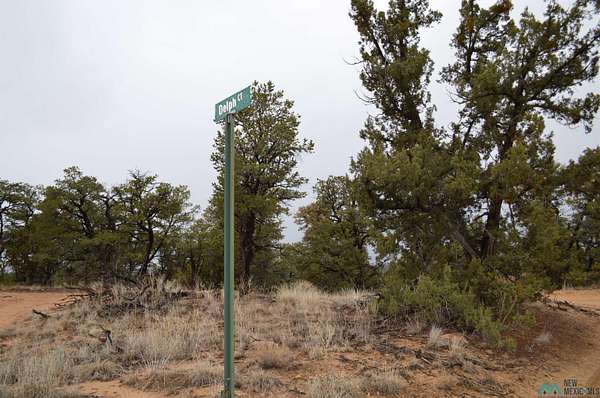2 Acres of Residential Land for Sale in Pinehill, New Mexico