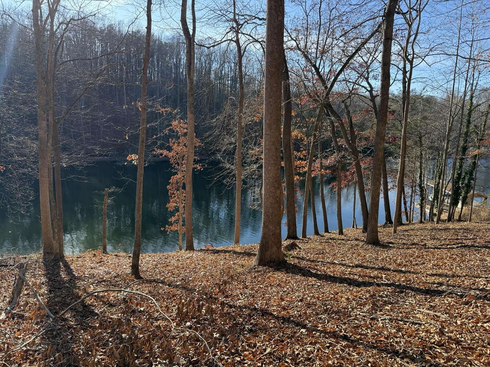 0.54 Acres of Residential Land for Sale in Moneta, Virginia