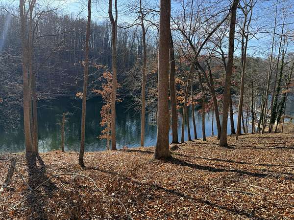 0.54 Acres of Residential Land for Sale in Moneta, Virginia