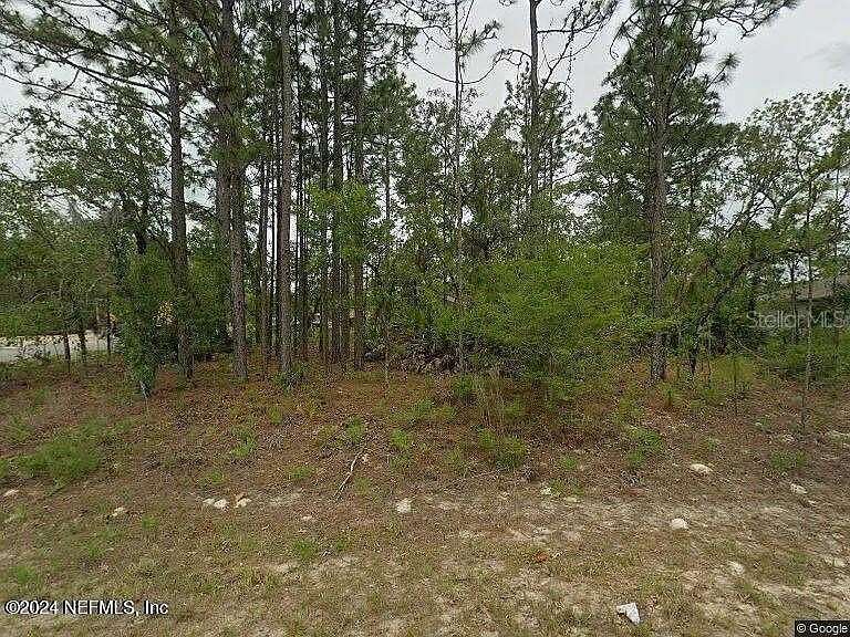 0.33 Acres of Residential Land for Sale in Citrus Springs, Florida