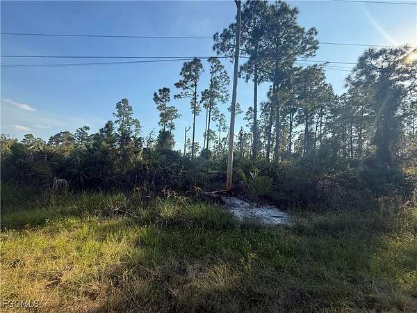 0.29 Acres of Residential Land for Sale in Lehigh Acres, Florida