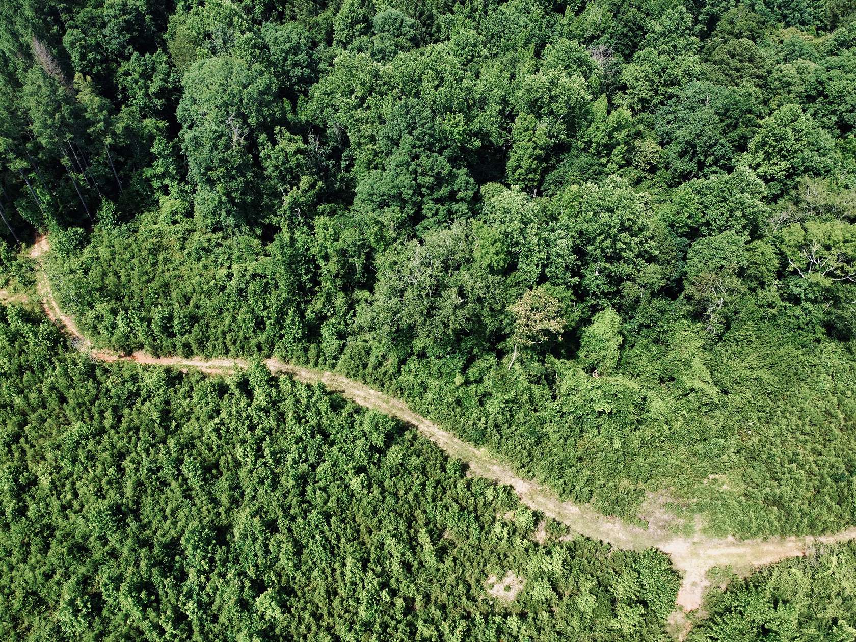 2.19 Acres of Residential Land for Sale in Heidelberg, Mississippi