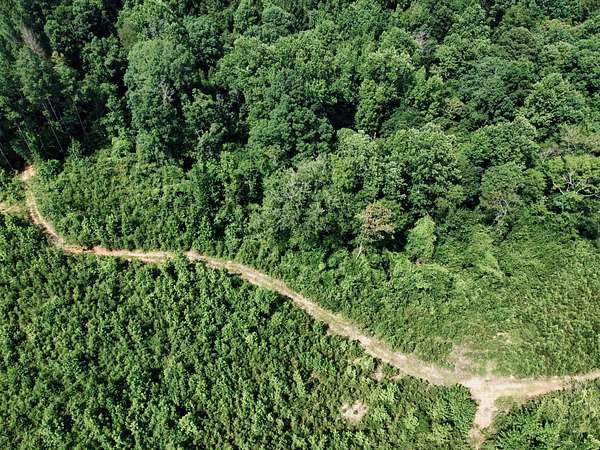 2.19 Acres of Residential Land for Sale in Heidelberg, Mississippi