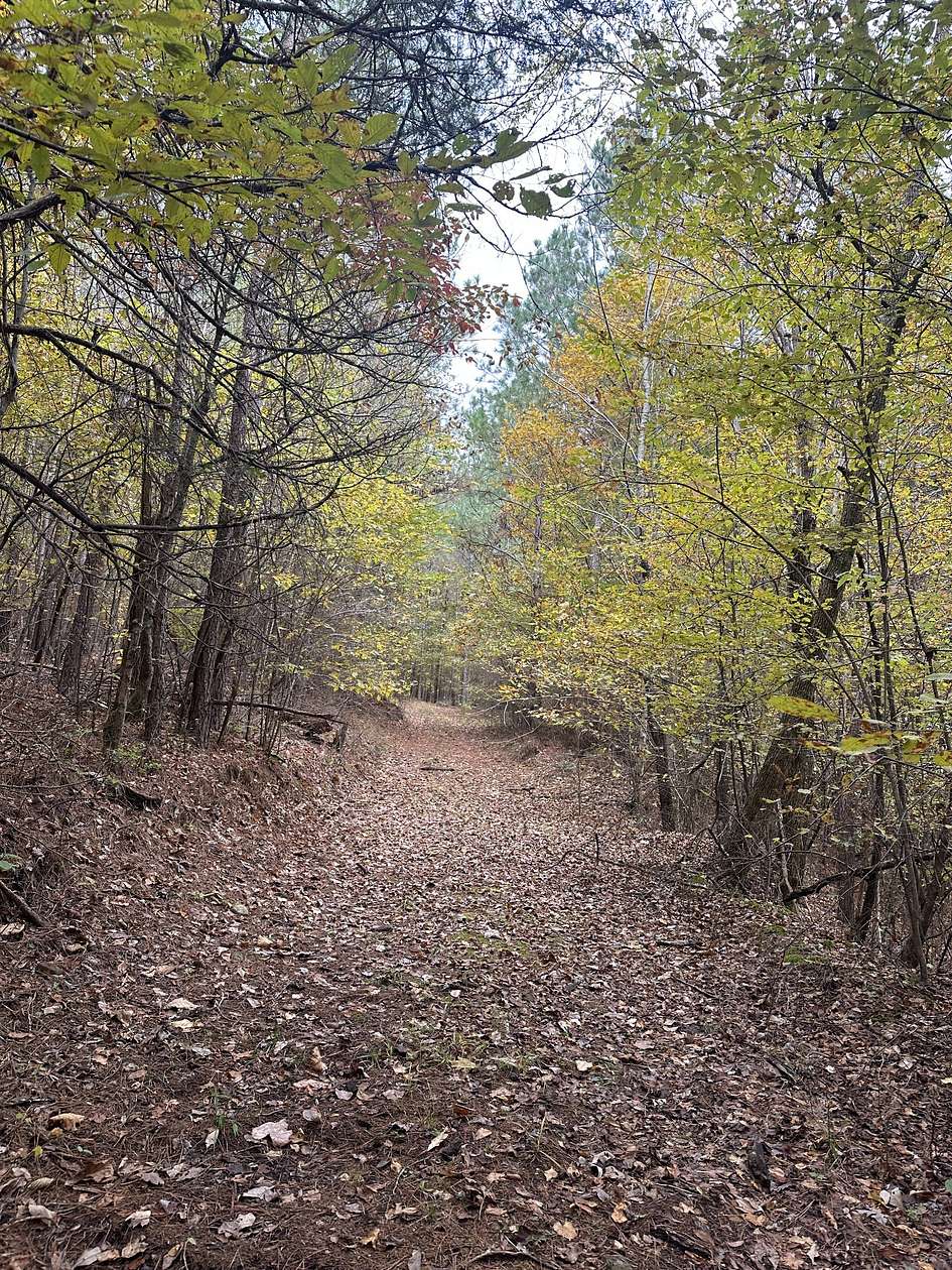 65 Acres of Recreational Land for Sale in Linden, Tennessee