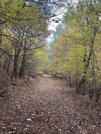 65 Acres of Recreational Land for Sale in Linden, Tennessee