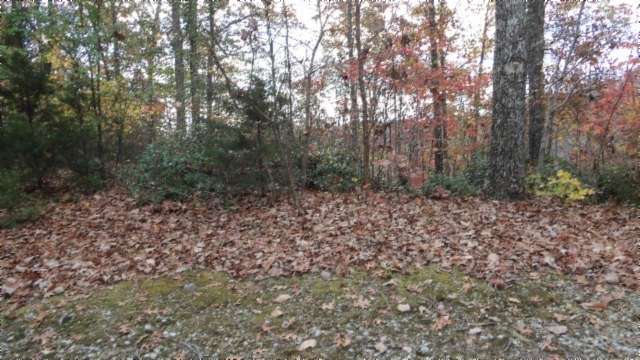 4 Acres of Residential Land for Sale in Smithville, Tennessee