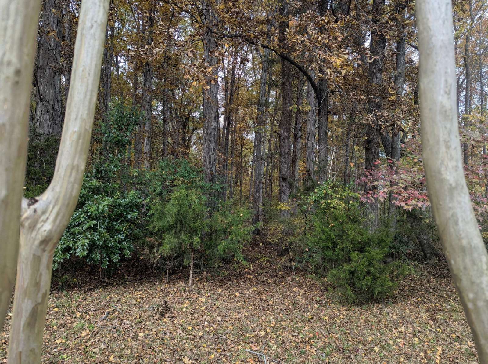 4.1 Acres of Residential Land for Auction in Huntsville, Alabama