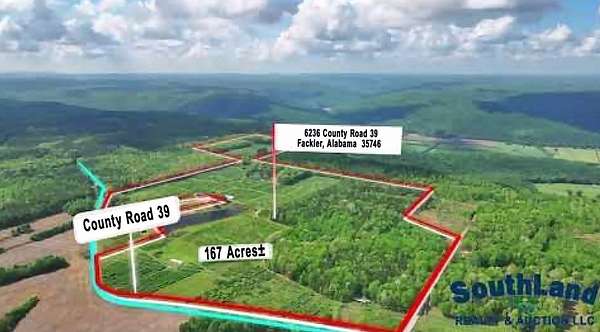 167 Acres of Agricultural Land for Auction in Fackler, Alabama