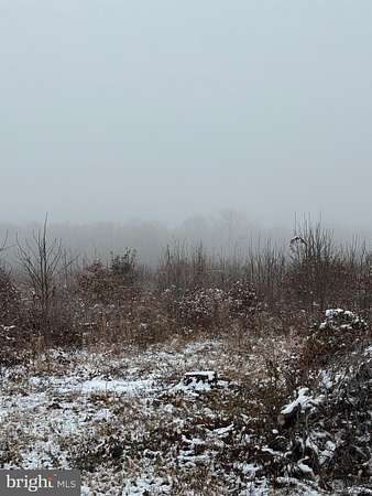 112 Acres of Land for Sale in Midland, Virginia