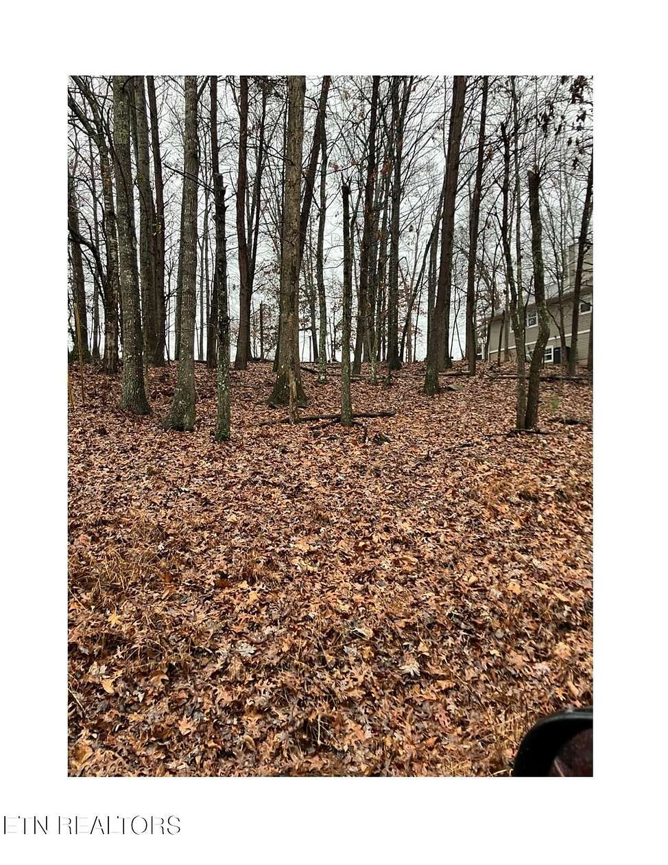 0.25 Acres of Residential Land for Sale in Crossville, Tennessee