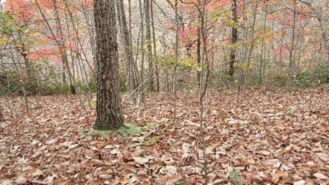 4 Acres of Residential Land for Sale in Smithville, Tennessee