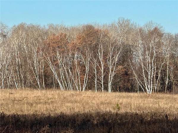 80 Acres of Agricultural Land for Sale in Fort Ripley, Minnesota