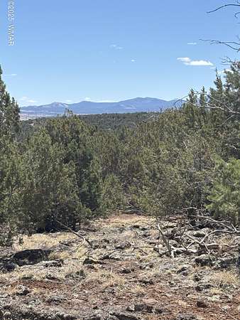 10 Acres of Residential Land for Sale in Concho, Arizona