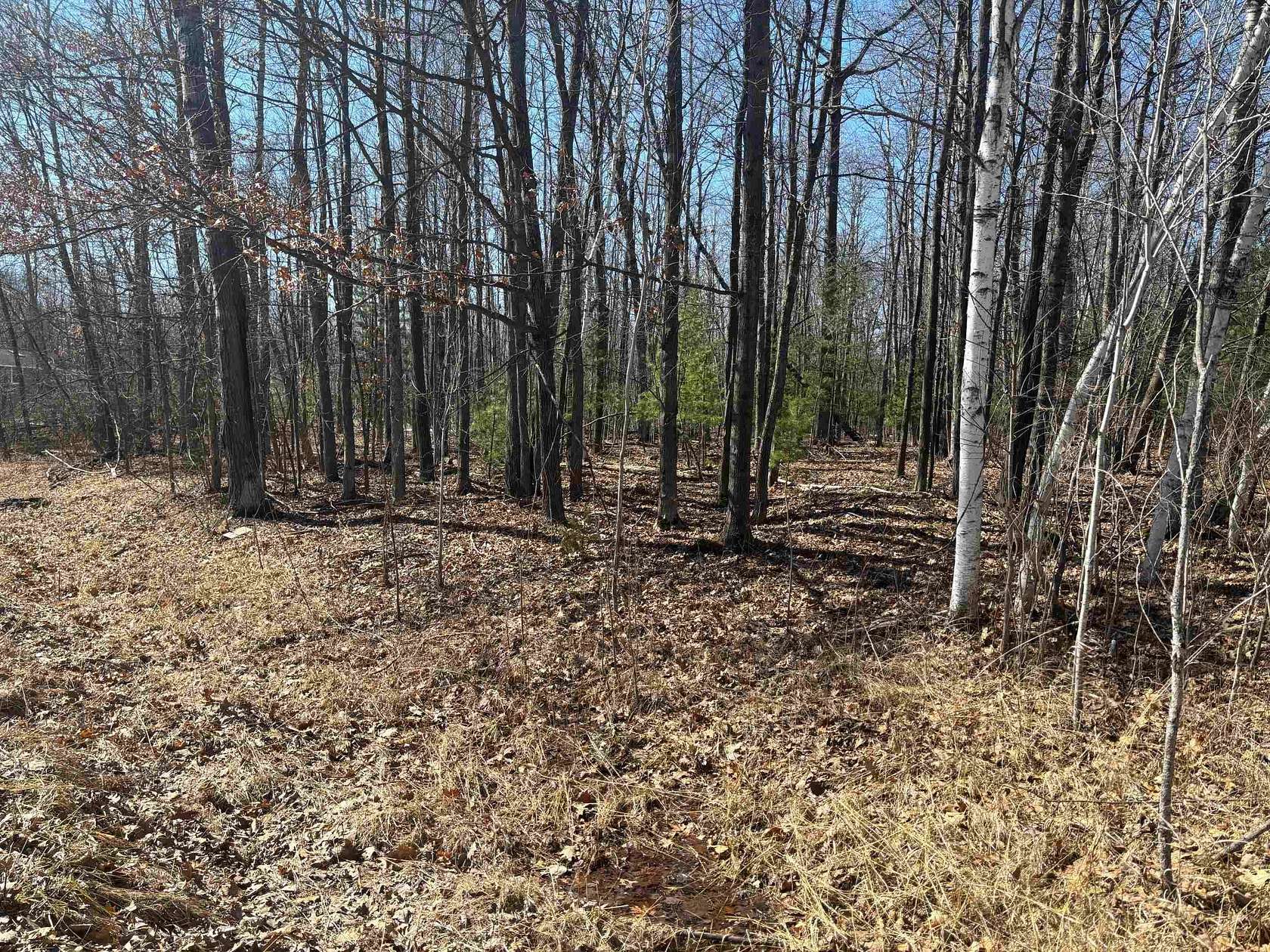 1.24 Acres of Residential Land for Sale in Gladwin, Michigan